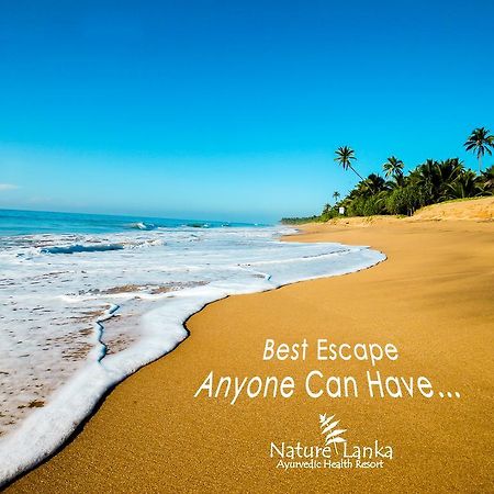 Nature Lanka Ayurveda Resort - All Meals And Ayurveda Treatments With Yoga Tangalle Εξωτερικό φωτογραφία