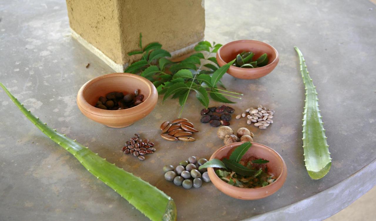 Nature Lanka Ayurveda Resort - All Meals And Ayurveda Treatments With Yoga Tangalle Εξωτερικό φωτογραφία