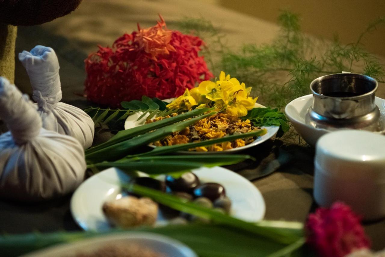 Nature Lanka Ayurveda Resort - All Meals And Ayurveda Treatments With Yoga Tangalle Εξωτερικό φωτογραφία