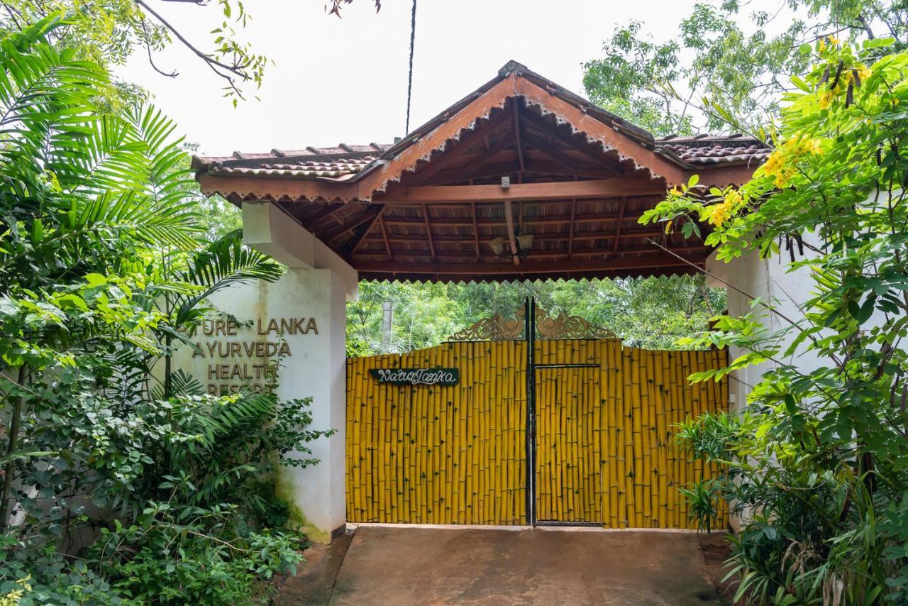 Nature Lanka Ayurveda Resort - All Meals And Ayurveda Treatments With Yoga Tangalle Εξωτερικό φωτογραφία