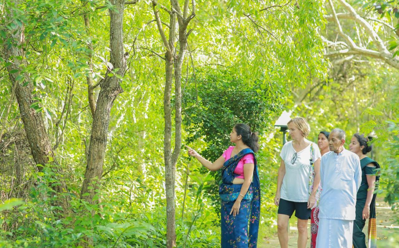 Nature Lanka Ayurveda Resort - All Meals And Ayurveda Treatments With Yoga Tangalle Εξωτερικό φωτογραφία