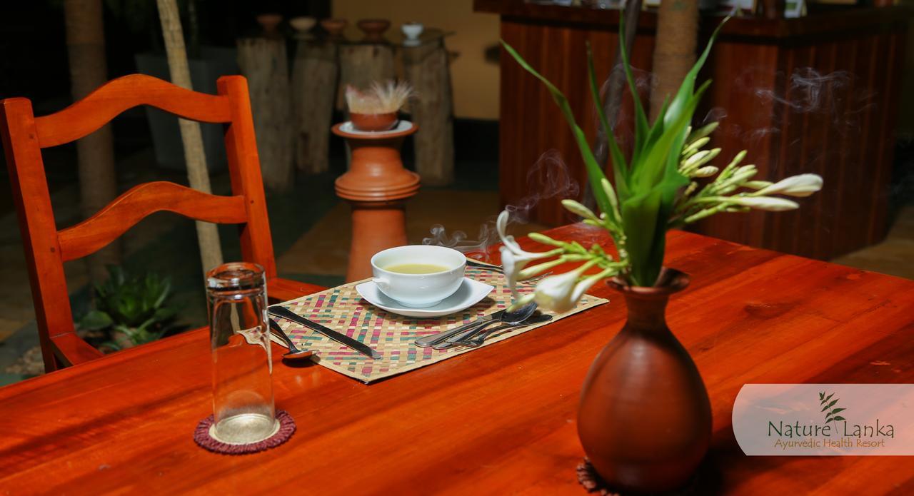 Nature Lanka Ayurveda Resort - All Meals And Ayurveda Treatments With Yoga Tangalle Εξωτερικό φωτογραφία