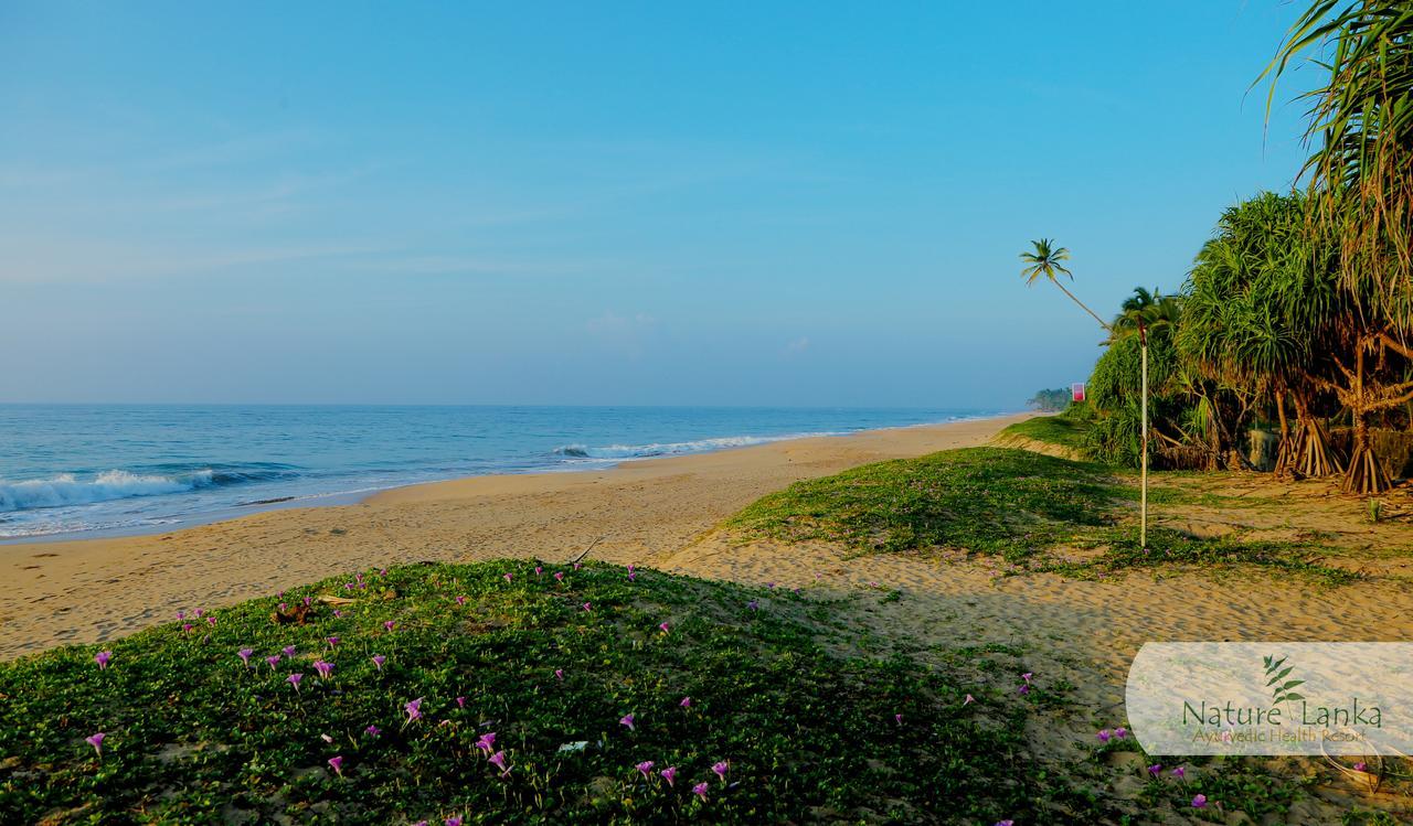 Nature Lanka Ayurveda Resort - All Meals And Ayurveda Treatments With Yoga Tangalle Εξωτερικό φωτογραφία
