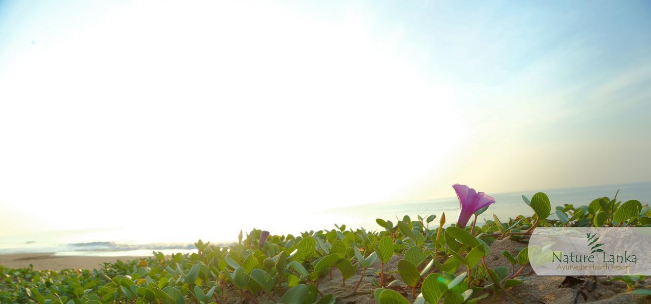 Nature Lanka Ayurveda Resort - All Meals And Ayurveda Treatments With Yoga Tangalle Εξωτερικό φωτογραφία