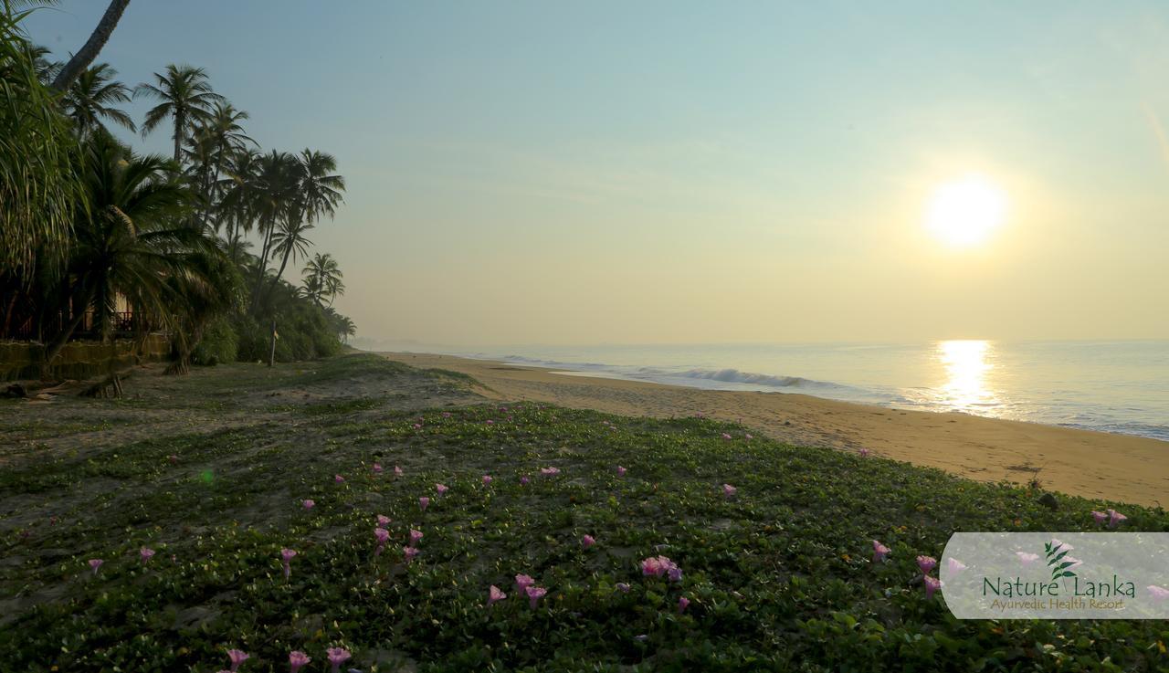 Nature Lanka Ayurveda Resort - All Meals And Ayurveda Treatments With Yoga Tangalle Εξωτερικό φωτογραφία