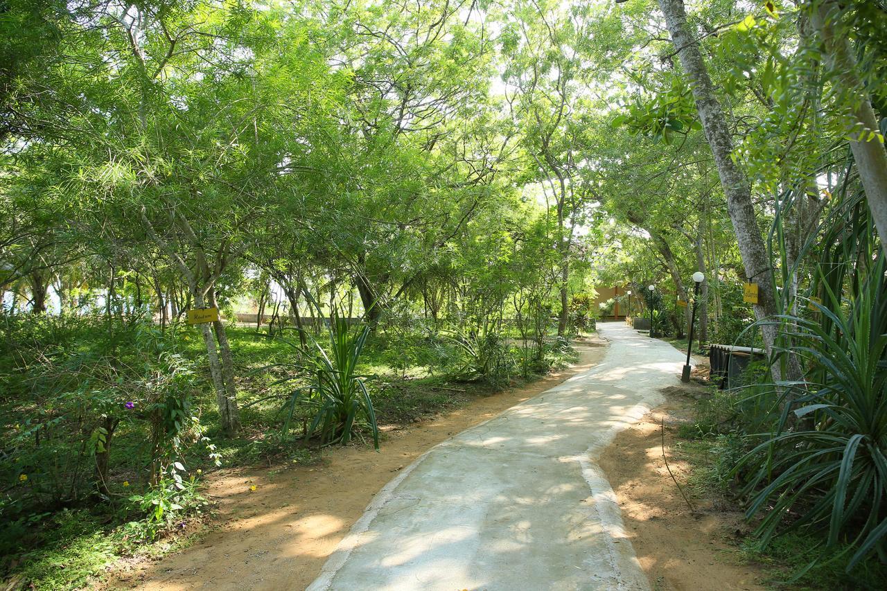 Nature Lanka Ayurveda Resort - All Meals And Ayurveda Treatments With Yoga Tangalle Εξωτερικό φωτογραφία