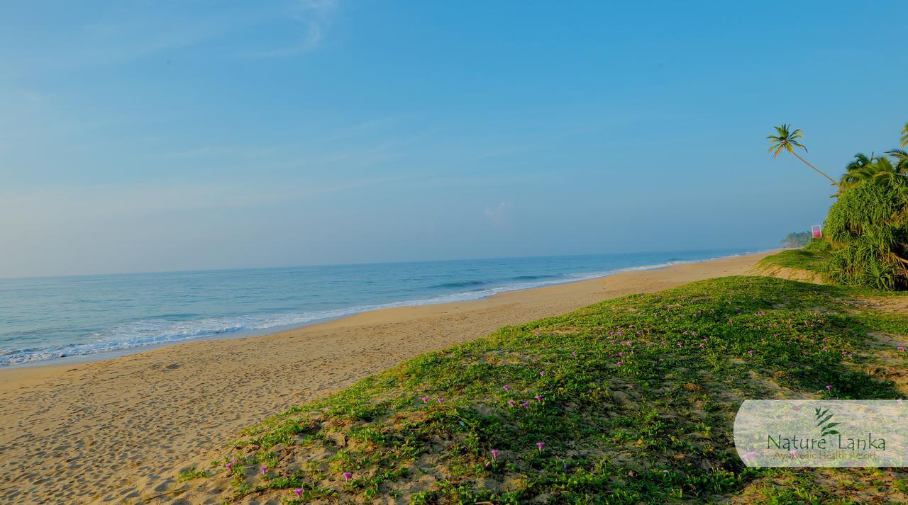 Nature Lanka Ayurveda Resort - All Meals And Ayurveda Treatments With Yoga Tangalle Εξωτερικό φωτογραφία