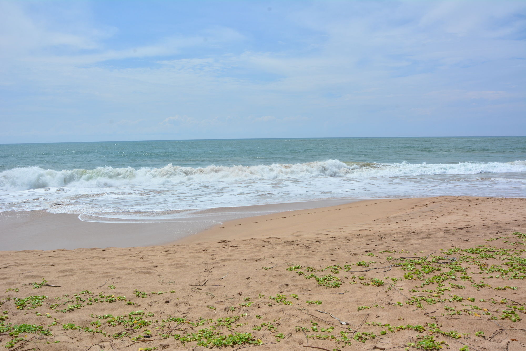 Nature Lanka Ayurveda Resort - All Meals And Ayurveda Treatments With Yoga Tangalle Εξωτερικό φωτογραφία